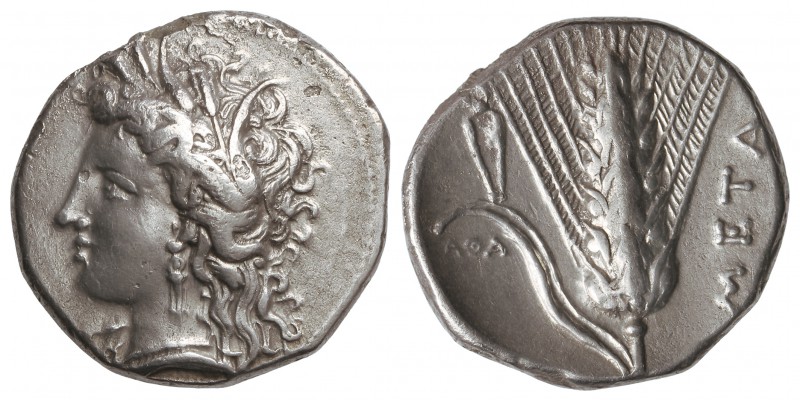 Estátera. 330-300 a.C. LUCANIA. METAPONTO. Anv.: Cabeza de Demeter a izquierda c...