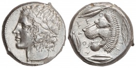 Tetradracma. 466-422 a.C. LEONTINI. SICILIA. Anv.: Cabeza de Apolo laureado a izquierda. Rev.: LEONTINON. Cabeza de león a izquierda, alrededor cuatro...