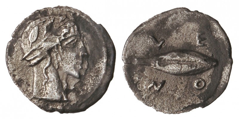 Litra. 466-425 a.C. LEONTINOI. SICILIA. Anv.: Cabeza laureda de Apolo a derecha....