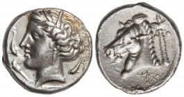 Tetradracma. 360 a.C. SICILIA. DOMINACIÓN CARTAGINESA. Anv.: Cabeza de Aretusa a izquierda, alrededor cuatro delfines. Rev.: Cabeza de caballo a izqui...