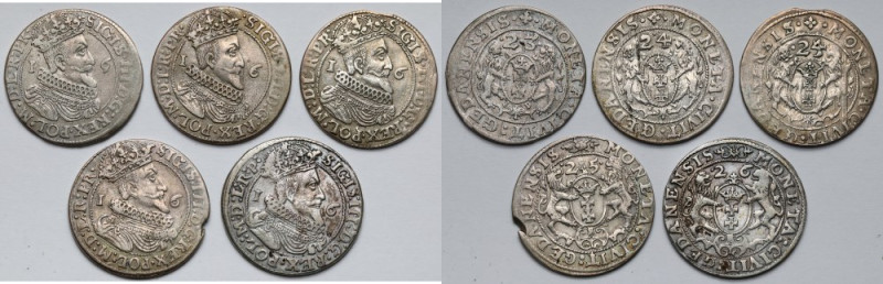 Zygmunt III Waza, Ort Gdańsk 1623-1626 - zestaw (5szt) 
Grade: VF/VF+