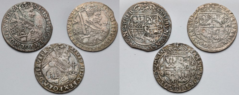 Zygmunt III Waza, Ort Bydgoszcz 1621-1624 - zestaw (3szt) W zestawie warte uwagi...