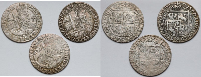 Zygmunt III Waza, Ort Bydgoszcz 1622-1624 - zestaw (3szt) Naturalnie obiegowe sz...