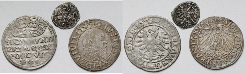 Zygmunt I Stary, II August i Albrecht Hohenzollern, Grosze i Denar 1528-1559 - z...