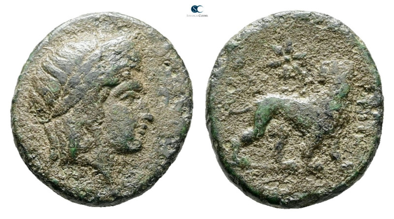 Ionia. Miletos circa 313-290 BC. 
Bronze Æ

16 mm, 3,17 g



Very Fine