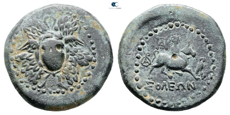 Cilicia. Soloi circa 200-100 BC. 
Bronze Æ

25 mm, 9,75 g



Very Fine
