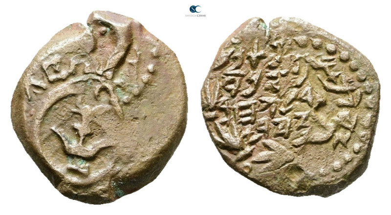 Judaea. Jerusalem. John Hyrcanus I 135-104 BC. 
Prutah Æ

15 mm, 2,10 g


...