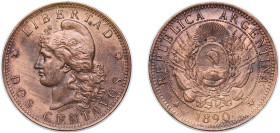 Argentina Federal Republic 1890 2 Centavos Bronze (3609000) 10.02g AU KM 33