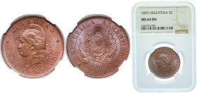 Argentina Federal Republic 1893 2 Centavos Bronze (5473000) 10g NGC MS 64 KM 33