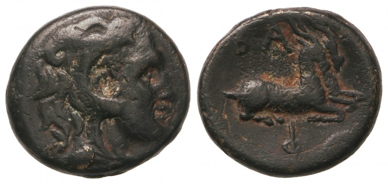 AE 20. 221-179 d.C. FILIPO V. MACEDONIA. Anv.: Cabeza de Hércules a derecha con ...