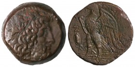 AE 28. 285-246 a.C. PTOLOMEO II. ALEJANDRÍA. EGIPTO. Anv.: Cabeza laureada de Zeus a derecha. Rev.: Águila en pie a izquierda sobre fulmen, alrededor ...