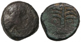Dicalco. BARIA. Anv.: Cabeza de Hércules con piel de león a derecha. Rev.: Palmera. 20,40 grs. AE. AB-213. BC-/MBC.