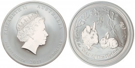 1 Dólar. 2011. 31,10 grs. AR. Año del conejo. KM-1475. PROOF.