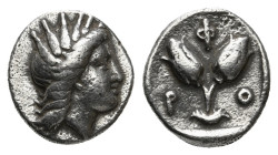 CARIA. Rhodes. Diobol (Circa 205-190 BC).
Obv: Radiate head of Helios right.
Rev: P - O.
Two rose buds. Control: Φ above 1,13 g - 9,44 mm