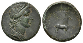 Greek Coin
AE. 4,50 g
Obv : Diademed bust of Artemis right
Rev : Stag standing right