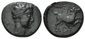PISIDIA. Termessos (by Oenanda). Tiberius? (14-37). Ae.
Obv: Bare head right.
Rev: TEP / OI.
Horse prancing right. 4,75 g