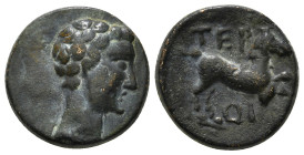 PISIDIA. Termessos (by Oenanda). Tiberius? (14-37). Ae.
Obv: Bare head right.
Rev: TEP / OI.
Horse prancing right. 5,33 g