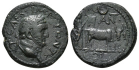 PISIDIA. Antioch. Titus (Caesar, 69-79). Ae
Obv: T CAES IMP PONT. Laureate head right. Rev: ANT / COL. Founder plowing right, with yoke of oxen; cresc...