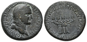 PHRYGIA. Apameia. Vespasian (69-79). Ae. Plancius Verus, magistrate.
Obv: AYTOKPATΩP KAIΣAP ΣEBAΣTOΣ OYEΣΠΑΣIANOΣ.
Laureate head right.
Rev: EΠΙ ΠΛΑΝΚ...