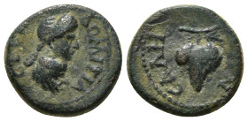 LYDIA. Sala. Domitia (Augusta, 82-96). Ae.
Obv: ΔΟΜΙΤΙΑ CЄΒΑCΤΗ.
Draped bust right.
Rev: CΑΛΗΝΩΝ.
Grape bunch on vine. 2,92 g - 16,41 mm...
