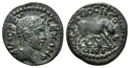 PISIDIA.Antioch.Severus Alexander.(222-235).Ae.
Obv : IM SEV ALEXAN.
Laureate, draped and cuirassed bust right.
Rev : ANTIOCH COL ONI.
She-wolf, right...