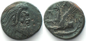 CIMMERIAN BOSPOROS. Pantikapaion, AE 22mm 310-303 BC, Pan / griffin sturgeon XF