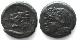 CIMMERIAN BOSPOROS. Pantikapaion, AE 21mm 310-304 BC, Pan / lion & sturgeon, AU!