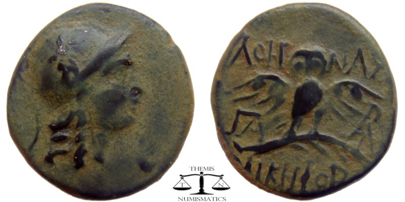 Mysia, AE17 Pergamon 200-133 BC. Helmeted head of Athena right, helmet decorated...