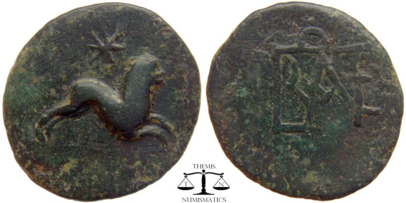 Polemo I & Dynamis Kings of Bosporos, AE21 ca. 14-9BC. Lion running right, star ...
