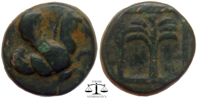 Troas, AE10 Skepsis ca. 400-310 BC. Forepart of Pegasos flying right / Palm tree...