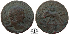 Caracalla Syria, AE30 Laodicea ad Mare 197-217 AD. M AVS ANTONINVS PIVS AV , laureate head right / ROMAE - FEL, she-wolf standing right, head left, su...