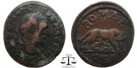 Macrinus Syria, AE32 Laodicea ad Mare 217-218 AD. IMP C M OP SEVE MACRINOS AVG , laureate head right / ROMAE - FEL, she-wolf standing right, head left...