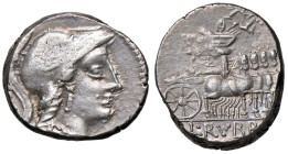 ROMANE REPUBBLICANE - RUBRIA - L. Rubrius Dossenus (87 a.C.) - Denario B. 3; Cr. 348/3 (AG g. 4,39) Di ottimo peso

 Di ottimo peso

BB/BB+