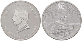 ESTERE - AUSTRALIA - Carlo III (2022) - Dollaro 2025 - Serpente AG Segnetto al D/

 Segnetto al D/

qFDC/FDC