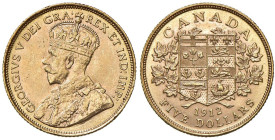 CANADA Giorgio V (1910-1936) 5 Dollari 1912 - KM 26 AU (g 8,39)
SPL