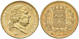 FRANCIA Luigi XVIII (1815-1824) 40 Franchi 1817 A Parigi - Gad. 1092 AU (g 12,84)
BB+