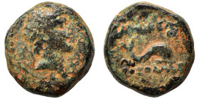 SELEUKID KINGS of SYRIA. Alexander I Balas, 152-145 BC. (bronze, 2.20 g, 11 mm), quasi-municipal issue, Laodikeia by the Sea. Diademed head of Alexand...