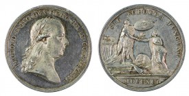 Leopold II 1790 – 1792 
Medaglia 1791 per la cerimonia di omaggio dei Paesi Bassi argento del diametro di mm. 39, senza nome dell’incisore, minimi gr...