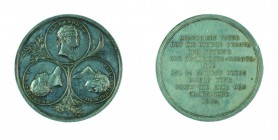 Franz II./I. 1792 – 1835 
Medaglia 1814 per la pace di Parigi argento, incisore del conio „STUCKHART“ (Franz Stuckhart, 1781 – 1857), minimi graffi, ...