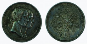 Ferdinand I 1830 - 1848
Medaglia 1830 per l’incoronazione a Re d’Ungheria in Presburgo (Bratislava, Slovacchia) argento, incisore del conio „I. D. BO...