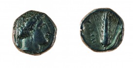 Lucania 
Metaponto - Statere databile al periodo 340-330 a.C. - Diritto: testa di Demetra coronata di spighe a destra - Rovescio: spiga di grano disp...