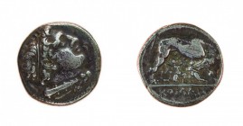 Monete Romane Repubblicane 
Didramma romano-campano databile al periodo 269-266 a.c. - Zecca: Roma - Diritto: testa di Ercole a destra con bastone e ...