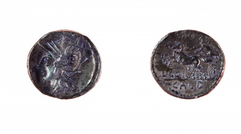 Monete Romane Repubblicane 
Denaro al nome C.COIL CALD databile al 104 a.C. - Z...