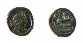 Monete Romane Repubblicane 
Denaro al nome D.SILANVS L.F. databile al 91 a.C. - Zecca: Roma - Diritto: testa diademata della Salus a destra - Rovesci...