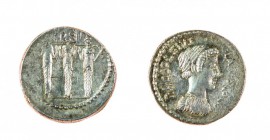 Monete Romane Pre-Imperiali 
Denaro al nome P.ACCOLEIVS LARISCOLVS databile al 43 a.C. - Zecca: Roma - Diritto: busto drappeggiato di Diana Nemorensi...