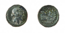 Monete Romane Pre-Imperiali 
Denaro al nome C.VIBIVS VARVS databile al 42 a.C. - Zecca: Roma - Diritto: testa laureata di Liber a destra - Rovescio: ...