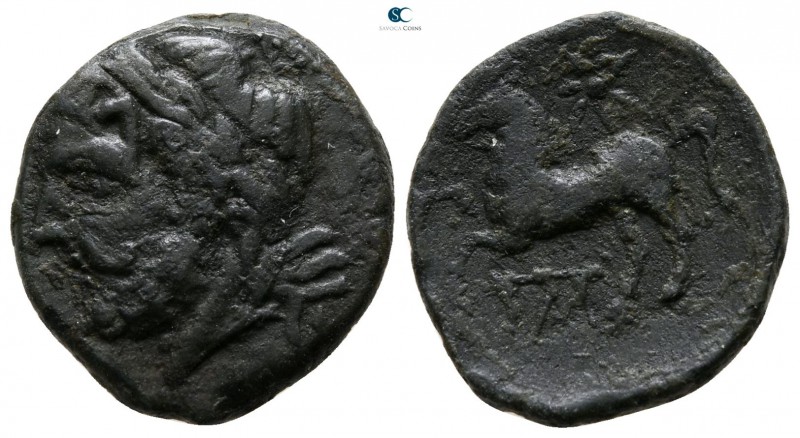 Apulia. Arpi circa 325-275 BC. 
Bronze Æ

16 mm., 3.19 g.



very fine