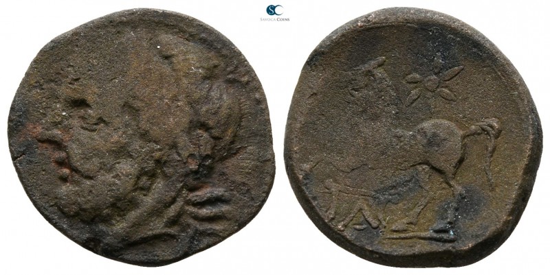 Apulia. Arpi 325-275 BC. 
Bronze Æ

16 mm., 3.50 g.



nearly very fine