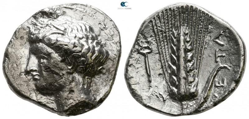 Lucania. Metapontion circa 340-330 BC. 
Nomos AR

23 mm., 7.08 g.



very...