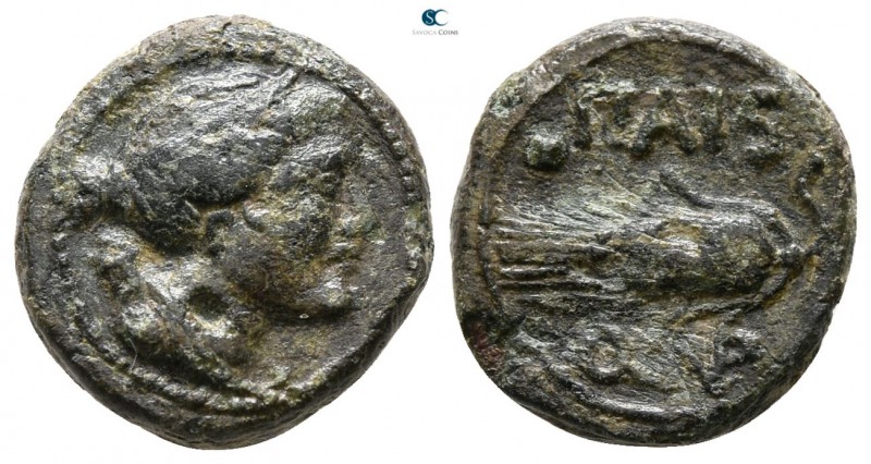 Lucania. Paestum 218-201 BC. 
Uncia AE

12 mm., 2.18 g.



very fine